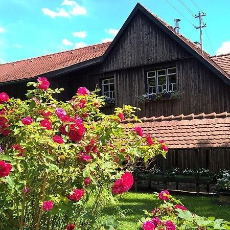 Albler-Nest Auf Hofgut Kuche Appartement Burladingen Buitenkant foto