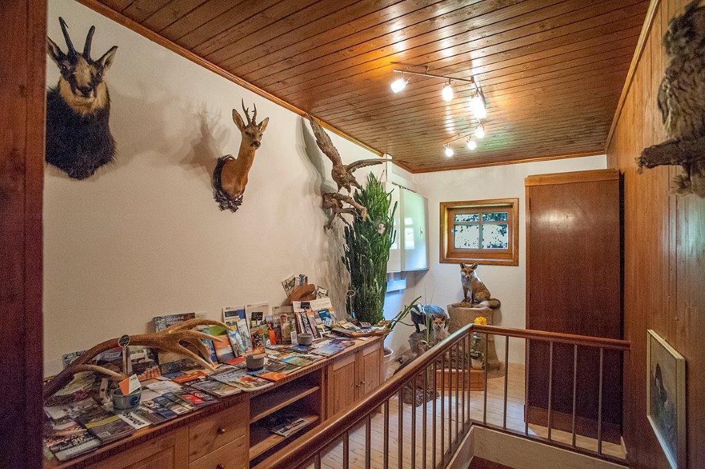 Albler-Nest Auf Hofgut Kuche Appartement Burladingen Buitenkant foto