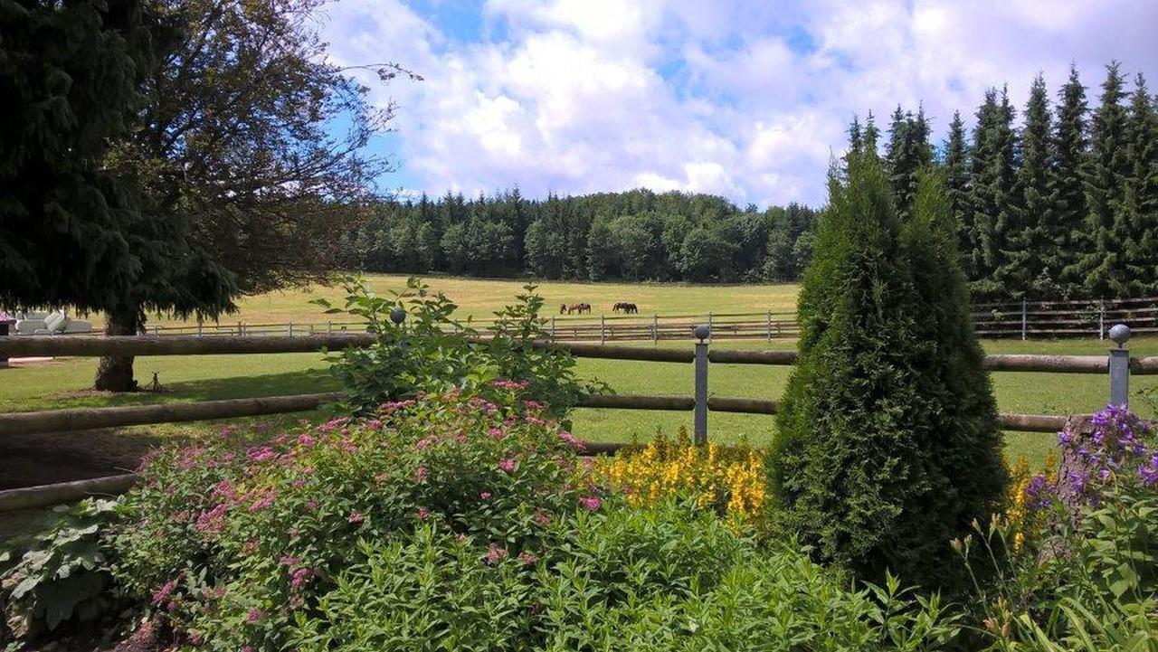 Albler-Nest Auf Hofgut Kuche Appartement Burladingen Buitenkant foto