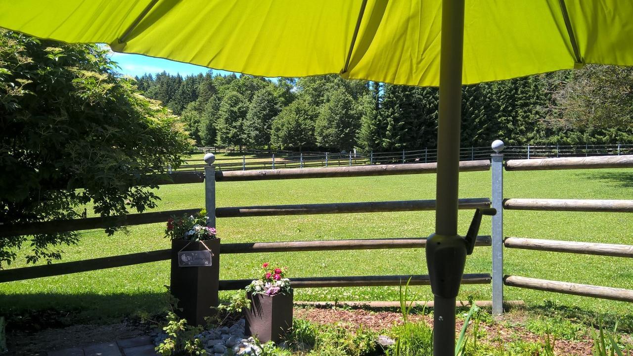 Albler-Nest Auf Hofgut Kuche Appartement Burladingen Buitenkant foto